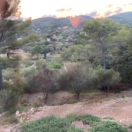 Les Oliviers * Sanary-sur-Mer